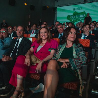 Premios FAMP 2024 (161)