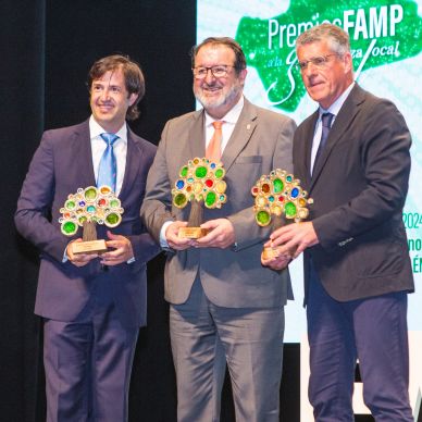 Premios FAMP 2024 (218)
