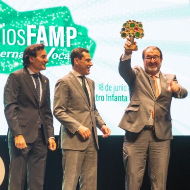 Premios FAMP 2024 (379)
