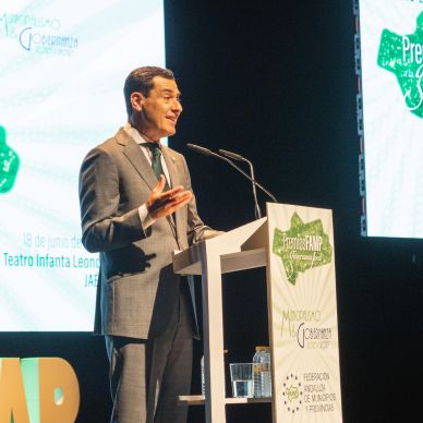 Premios FAMP 2024 (396)